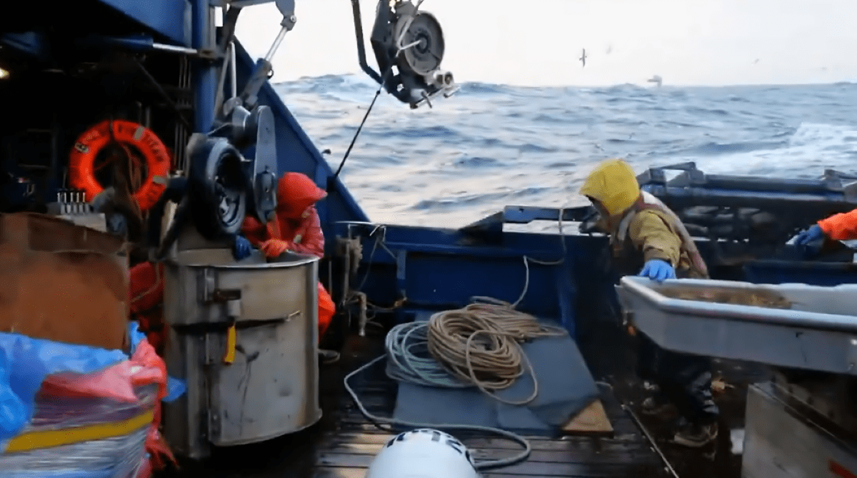 Deadliest Catch’s Titan Explorer becomes ‘too dangerous’ as crew loses crabs