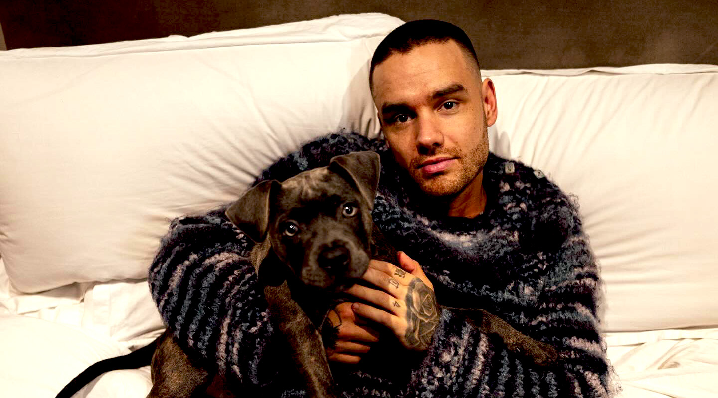 Morto a soli 31 anni il cantante Liam Payne ex degli ‘One Direction’ – Gossip.it